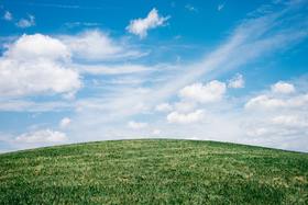 nature picture