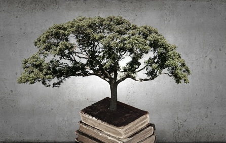 picture of a tree
