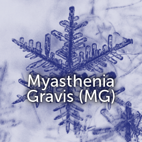 MG banner myasthenia gravis