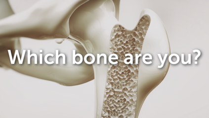 Which bone are you?