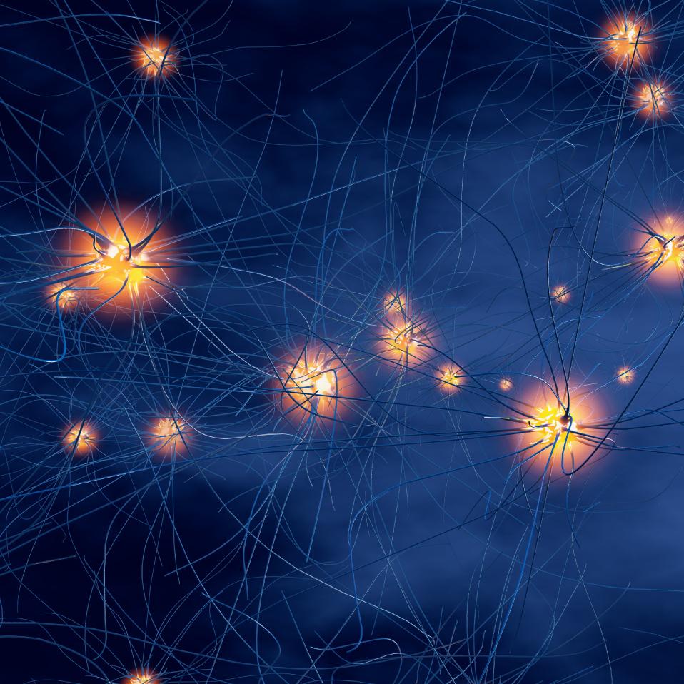 Neurons connections