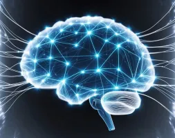 Picture representing a brain
