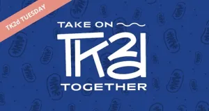 TK2d Tuesday logo