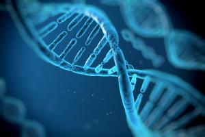 The gene therapy evolution