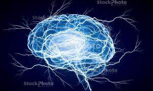 Picture of a Brain
