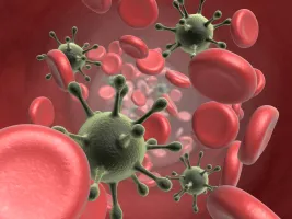 Viruses attacking red blood cells.