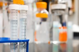Picture of lab equipment