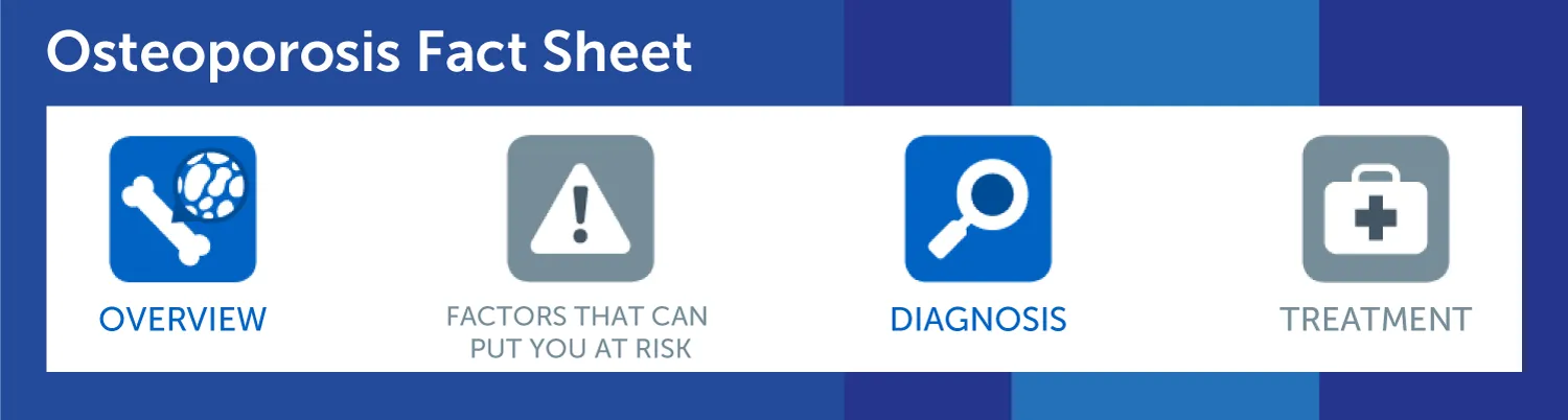 Osteoporosis Fact Sheet