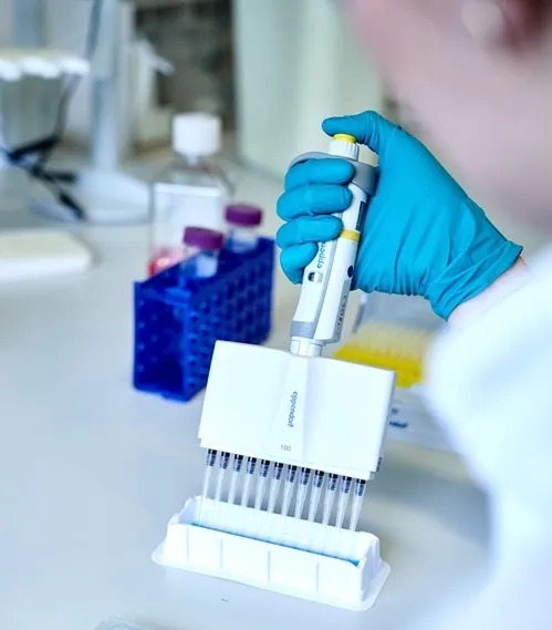 Person working in a lab