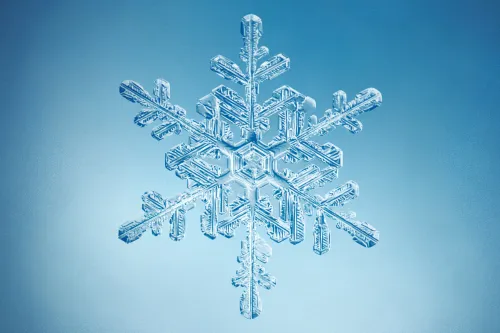 Picture representing a snowflake