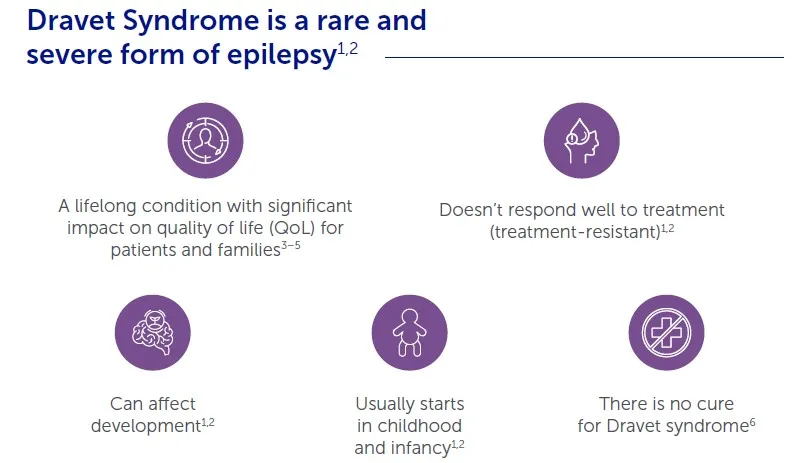 Screenshot of the Dravet syndrome factsheet 2026