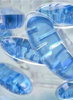 Picture of mitochondria